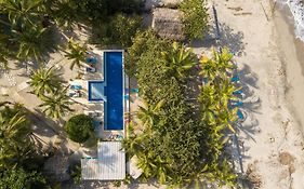 Blue Mango Beach Hotel